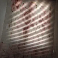 دوعدد پرده زبرا