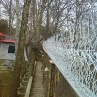 حفاظ شاخ گوزنی سهیلیه تهراندشت هشتگرد کرج