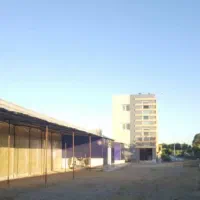 ده هکتار گلخانه با تمام امکانات