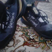 کفش بسکتبال