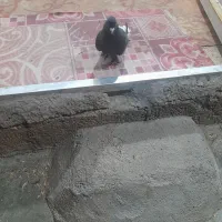 شهر جایزان|پرنده|بهبهان, |دیوار