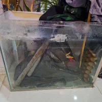 آکواریوم بزرگ