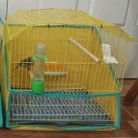 مناسب پرنده