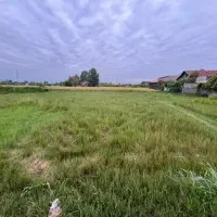 زمین مسکونی ۲۷۷متری با پروانه ی ساخت ۸۵متری|فروش زمین و ملک کلنگی|لشت نشا, |دیوار