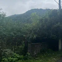 فروش ویلا باغ ۵۰۰متری چسبیده ب جنگل جنب نمک آبرود|فروش خانه و ویلا|هچیرود, |دیوار