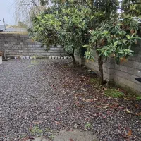 اجاره ویلا زیباکنار ساحلی روزانه کوتاه مدت