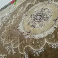 دوتخته فرش ۱۲ در حد نو|فرش|اهواز, سپیدار|دیوار