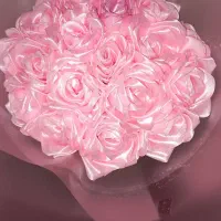 رز صورتی روبانی
