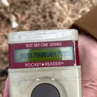 اسب نریون عرب|اسب و تجهیزات اسبسواری|دماوند, دماوند|دیوار