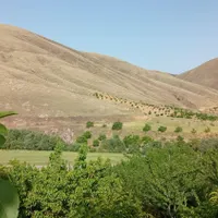 باغ گزنه|فروش زمین و ملک کلنگی|سنندج, |دیوار