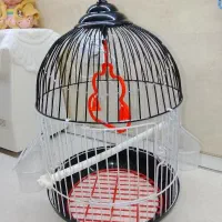 قفس پرنده کاملا نو