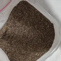 پودربزرک برای کاچی