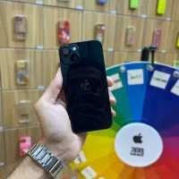 13 normal black
