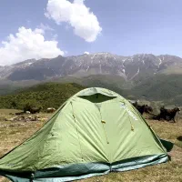 چادر هاسکی برت ۲