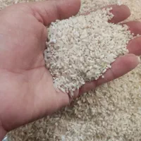 برنج چمپه و خورده برنج