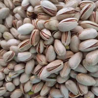 انواع اجیل پسته .|خوردنی و آشامیدنی|امیرآباد, |دیوار