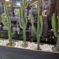 استخدام نیروی کار ساده|استخدام خدمات فروشگاه و رستوران|تهران, بلوار کشاورز|دیوار