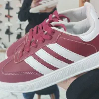 کتونی|کیف، کفش، کمربند|لنگرود, |دیوار