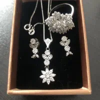 مجموعه کلکسیونی نقره