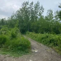 شمال گیلان زمین باغی ماشین رو