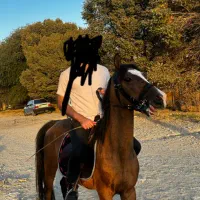 اسب نریان ۵ساله کرد