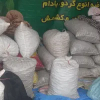 فروش گردو در نمایشگاه|خوردنی و آشامیدنی|بادرود, |دیوار