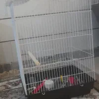 قفس پرنده