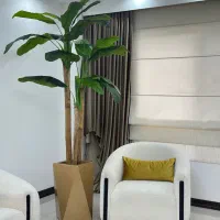 درختچه مصنوعی موز ژاکوبی|گل مصنوعی|آمل, |دیوار