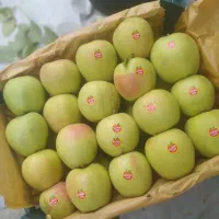 سیب ۳ردیف درجه۱