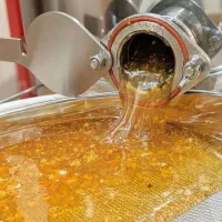 عسل|خوردنی و آشامیدنی|اهواز, شهرک دانشگاه|دیوار
