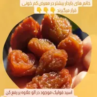 آلو نمکی  خوانساری اعلاء|خوردنی و آشامیدنی|اصفهان, خانه اصفهان|دیوار