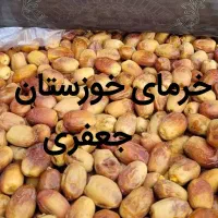 خرما کبکاب ،خاصویی خاصی ،استعمران خوزستان صادراتی