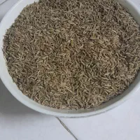 زیره سبز،انجیر درشت .رب الوچه جنگلی