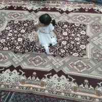 دوعدد روفرشی ۱۲متری نو|روفرشی|زاهدان, |دیوار