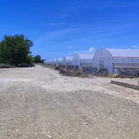 فروش ۱۵هزارمتر زمین کشاورزی گلخانه ویلاسازی پیشوا|فروش دفتر صنعتی، کشاورزی، تجاری|جوادآباد, |دیوار