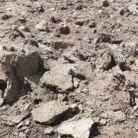 کود حیوانی گوسفند