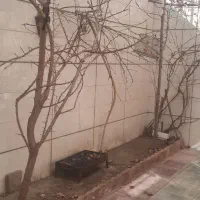 منزل-ویلایی-نوساز-جنوبی-160متری-کوی-رسالت