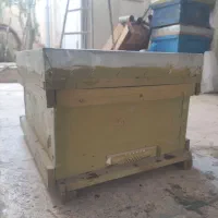 کندو عسل همراه با زنبور