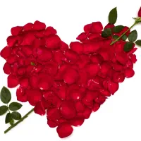 نظافت.راهپله.مشاعات