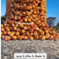 راهنمایی خرید ماشین
