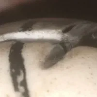 سنگ الماس برش خورده|جواهرات|شیراز, عفیف‌آباد|دیوار