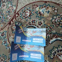 دو عدد بلیط استخر حلال احمر