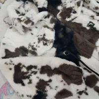 پالتو بچگونه|کفش و لباس بچه|قم, انسجام|دیوار