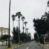 پیش-فروش-واحد-85-متری-بلوار-طالقانی-رامسر