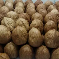 گردو(بسته بندی)|خوردنی و آشامیدنی|تهران, تهرانپارس شرقی|دیوار