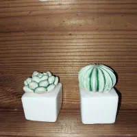 باکس فیوزبادوتاگلدون کاکتوس سرامیکی نونو|صنایع دستی و سایر لوازم تزئینی|اهواز, لشکرآباد|دیوار