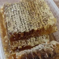 عسل خالص کوهپایه های سهند