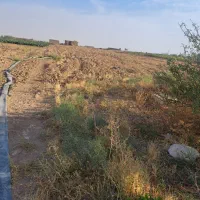 یک باب گاوداری ۳۵رسی گوشتی بفروش میرسد|فروش دفتر صنعتی، کشاورزی، تجاری|دشتابی, |دیوار