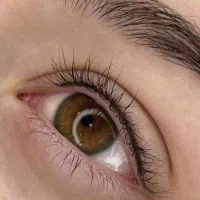 میکروبلیدینگ و میکروپیگمنتیشن/فیبروز،شیدلب،خط چشم|خدمات آرایشگری و زیبایی|فسا, |دیوار
