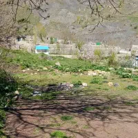 زمین شمشک دربندسر